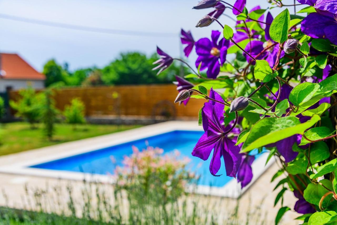 Sunny House Villa Smokovic Exterior photo