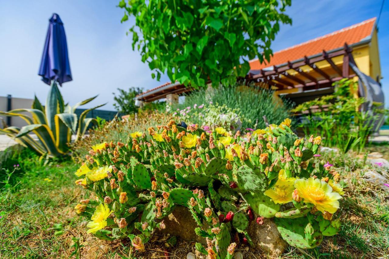 Sunny House Villa Smokovic Exterior photo