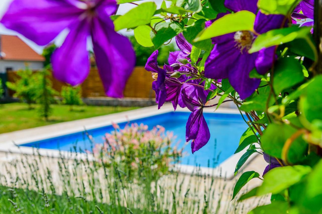 Sunny House Villa Smokovic Exterior photo